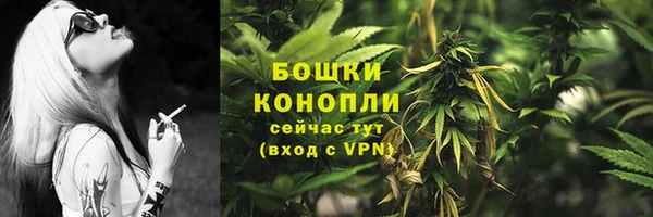 прущие грибы Каменка