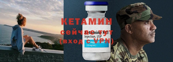 сатива Каменногорск