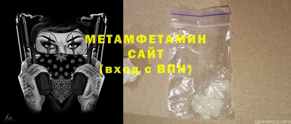 сатива Каменногорск