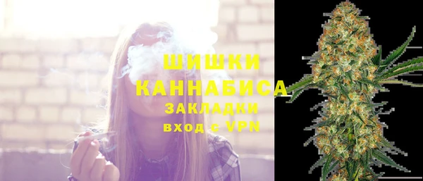 сатива Каменногорск