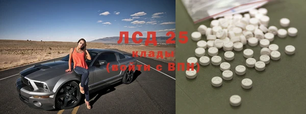 прущие грибы Каменка