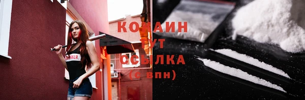 прущие грибы Каменка