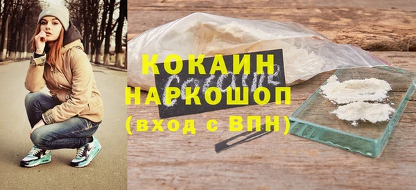 прущие грибы Каменка