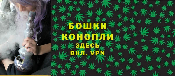 сатива Каменногорск