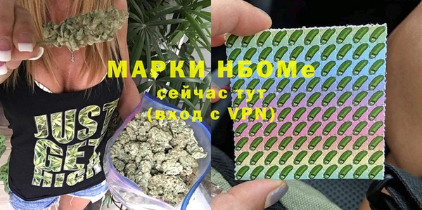 прущие грибы Каменка