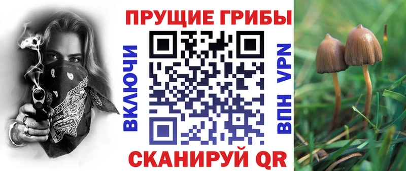 Псилоцибиновые грибы ЛСД  Купить  Бокситогорск 